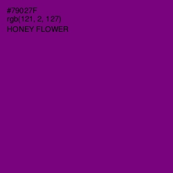 #79027F - Honey Flower Color Image